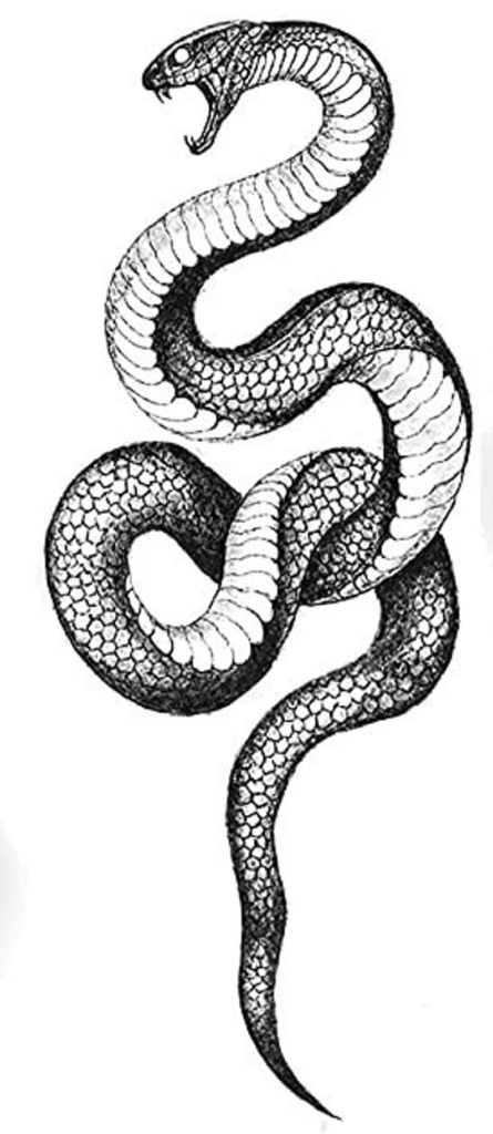 tatuajes de cobras 8
