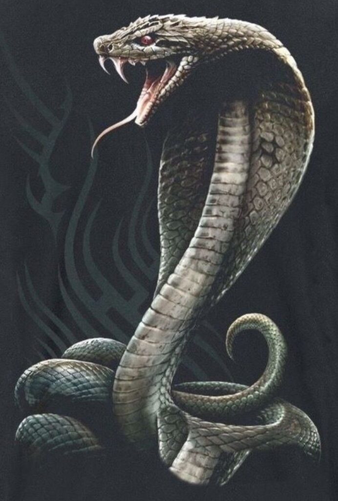 tatuajes de cobras 96
