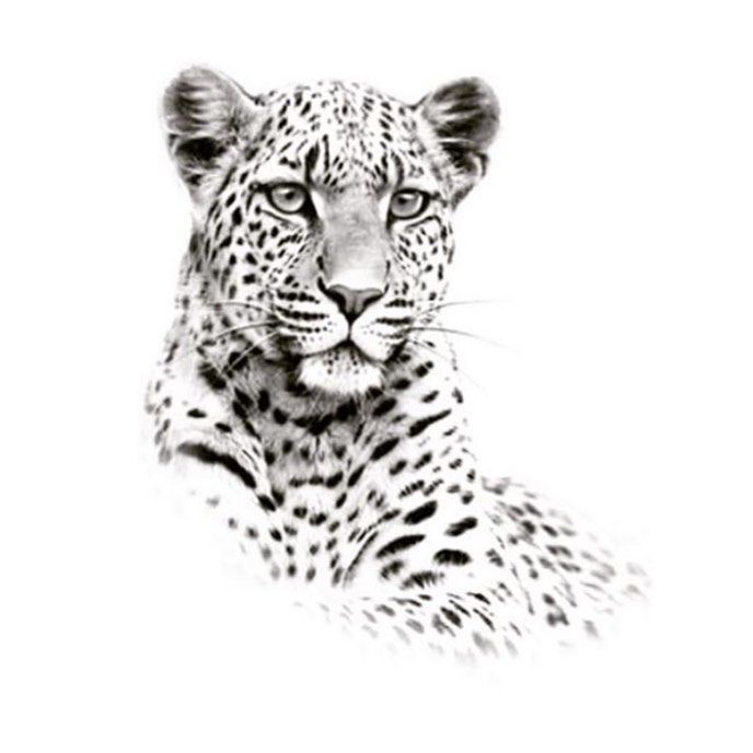 Jaguar Tattoos 102