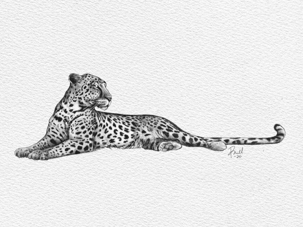 Jaguar Tattoos 11