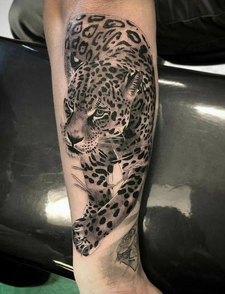 Jaguar Tattoos 167