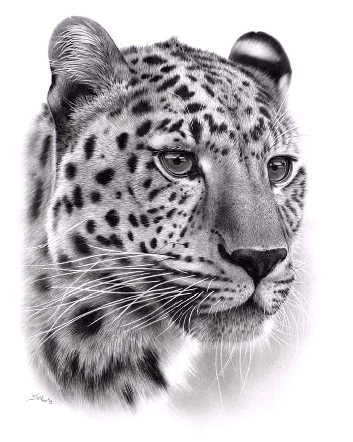 Jaguar Tattoos 52