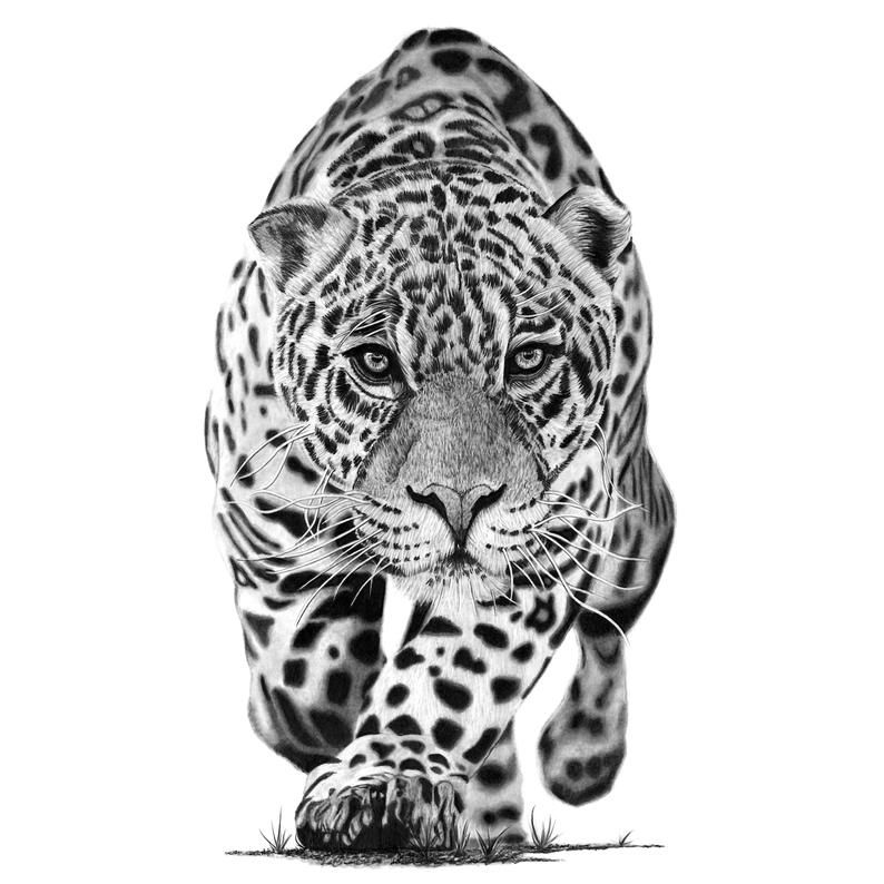 Jaguar Tattoos 56