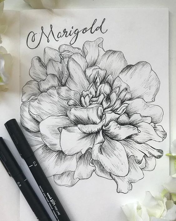 tatuaje de caléndula 94