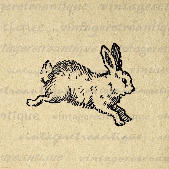 Rabbit Tattoo 153