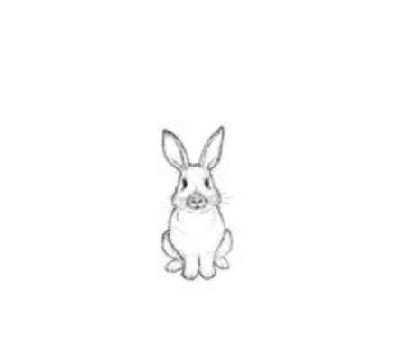 Rabbit Tattoo 155