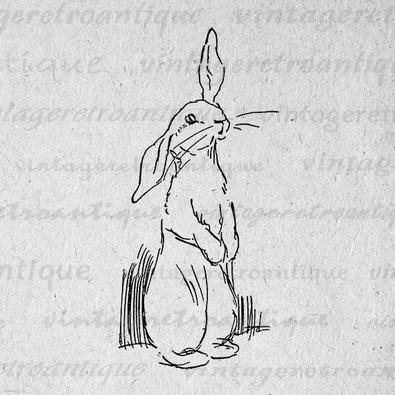 Rabbit Tattoo 164