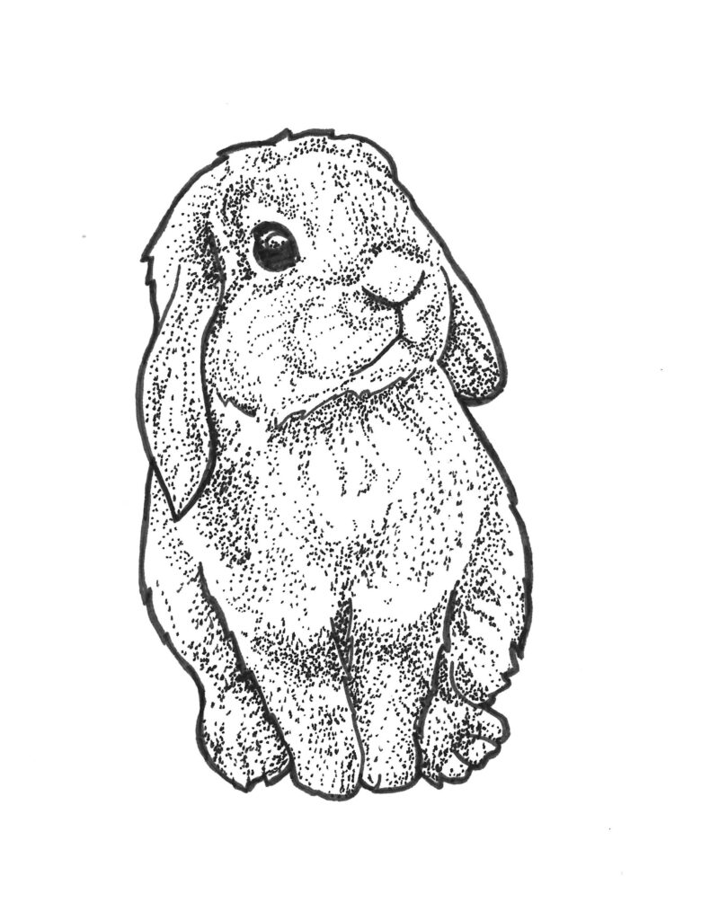 Rabbit Tattoo 172