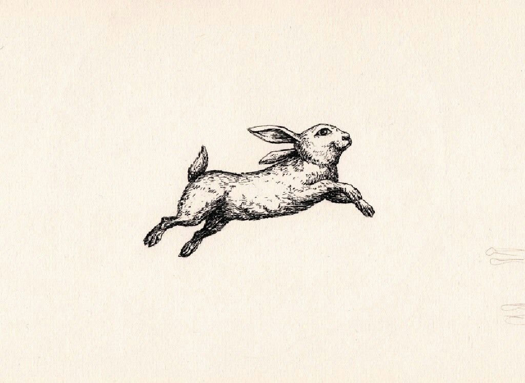 Rabbit Tattoo 201
