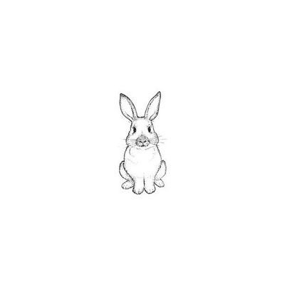 Rabbit Tattoo 60