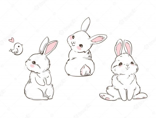 Rabbit Tattoo 7