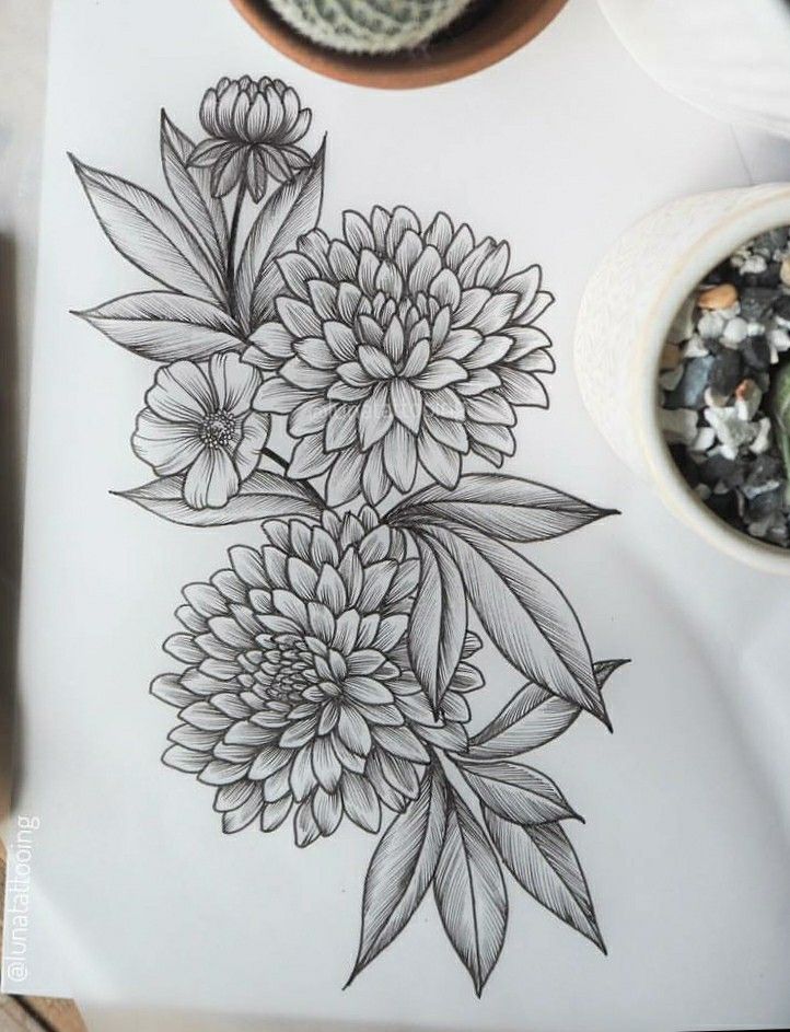 Dahlia Tattoo 100