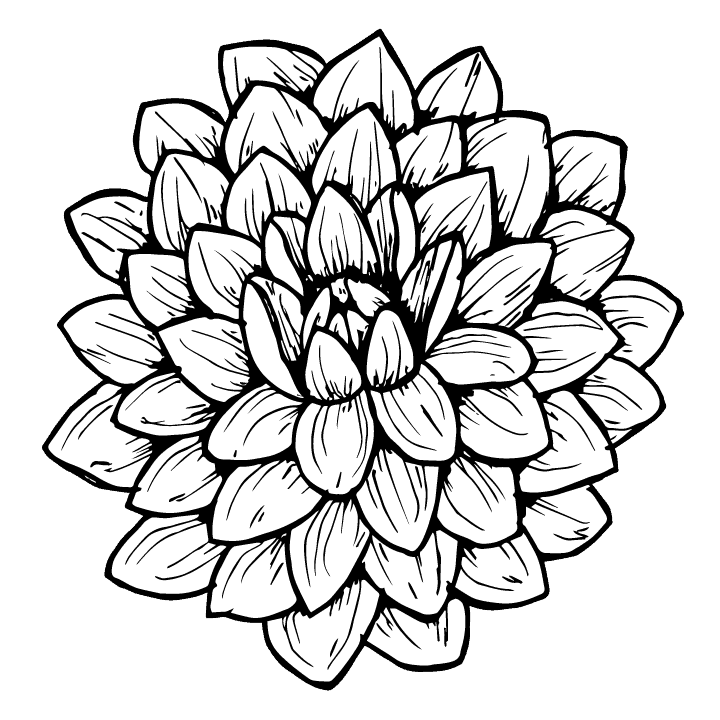 Dahlia Tattoo 6
