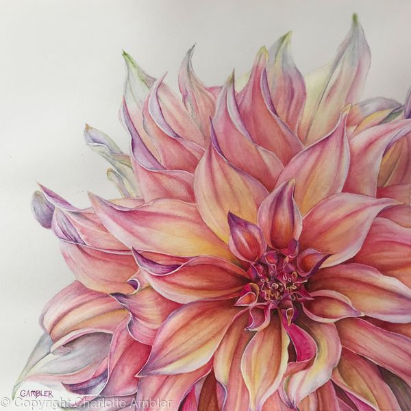 Dahlia Tattoo 68