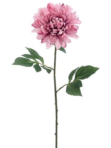 Dahlia Tattoo 75
