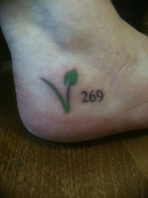 Tatuaje Vegano 135