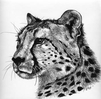 Toplist+ Beautiful Cheetah Tattoo Designs (2023) 979 Cheetah Tattoo 121