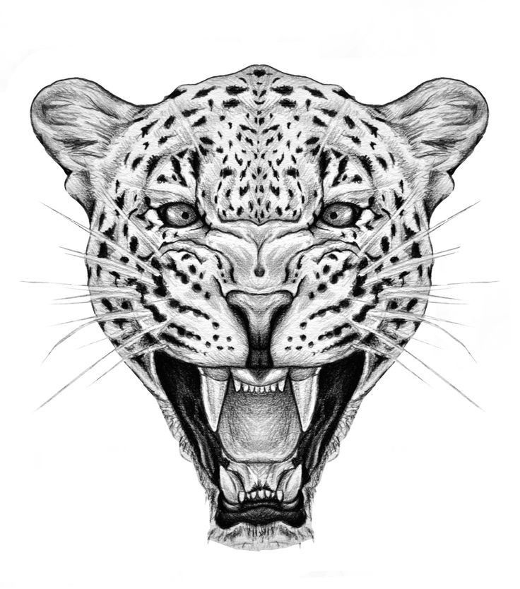 Cheetah Tattoo 159