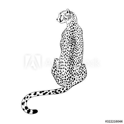 Cheetah Tattoo 160