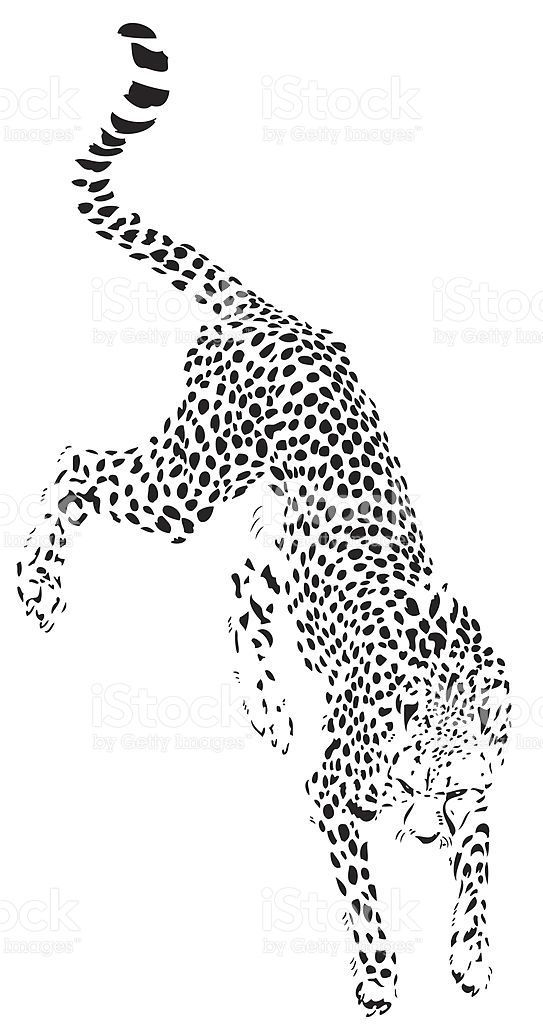 Cheetah Tattoo 187