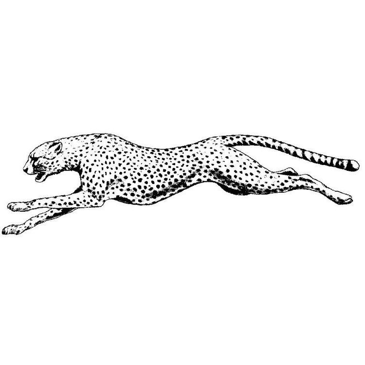 Cheetah Tattoo 193