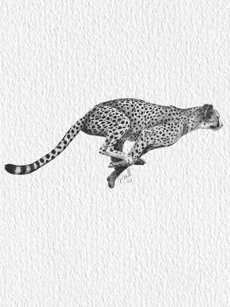 Toplist+ Beautiful Cheetah Tattoo Designs (2023) 883 Cheetah Tattoo 25