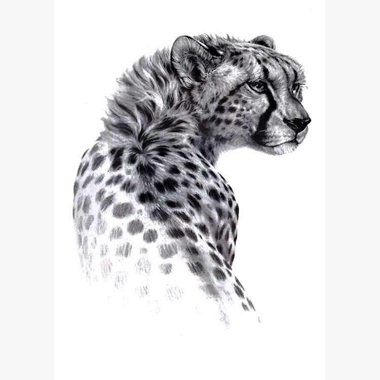 Cheetah Tattoo 66