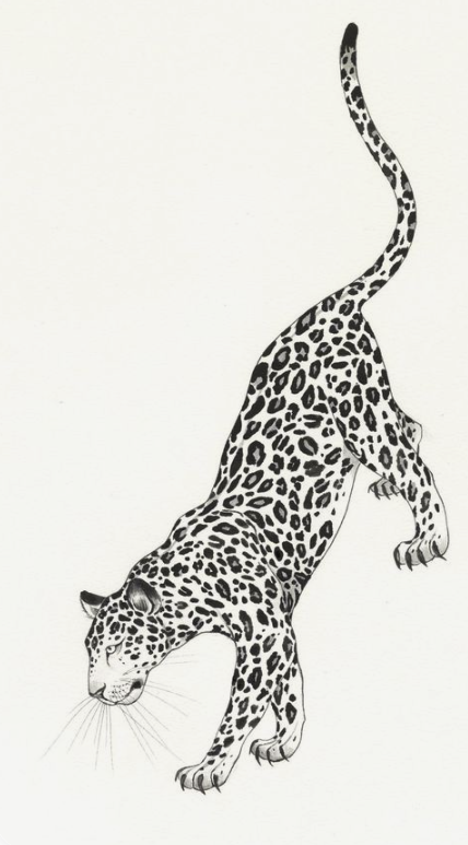 Cheetah Tattoo 8