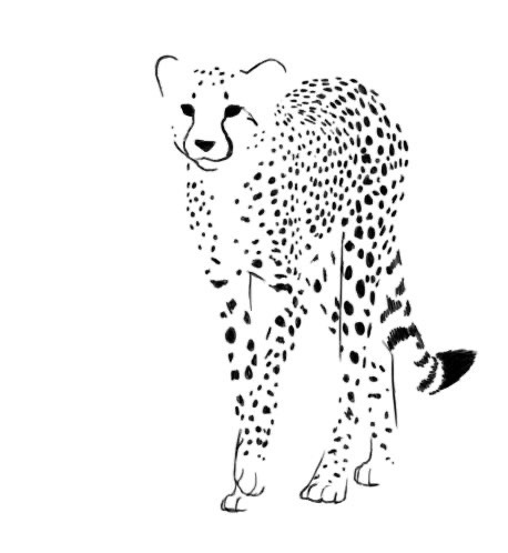 Cheetah Tattoo 9