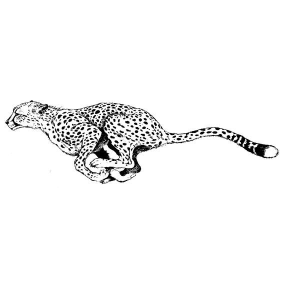 Cheetah Tattoo 95