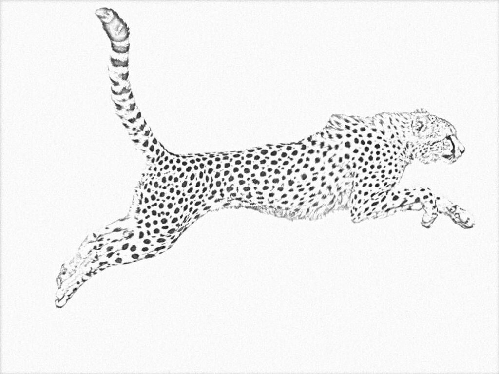 Cheetah Tattoo 98