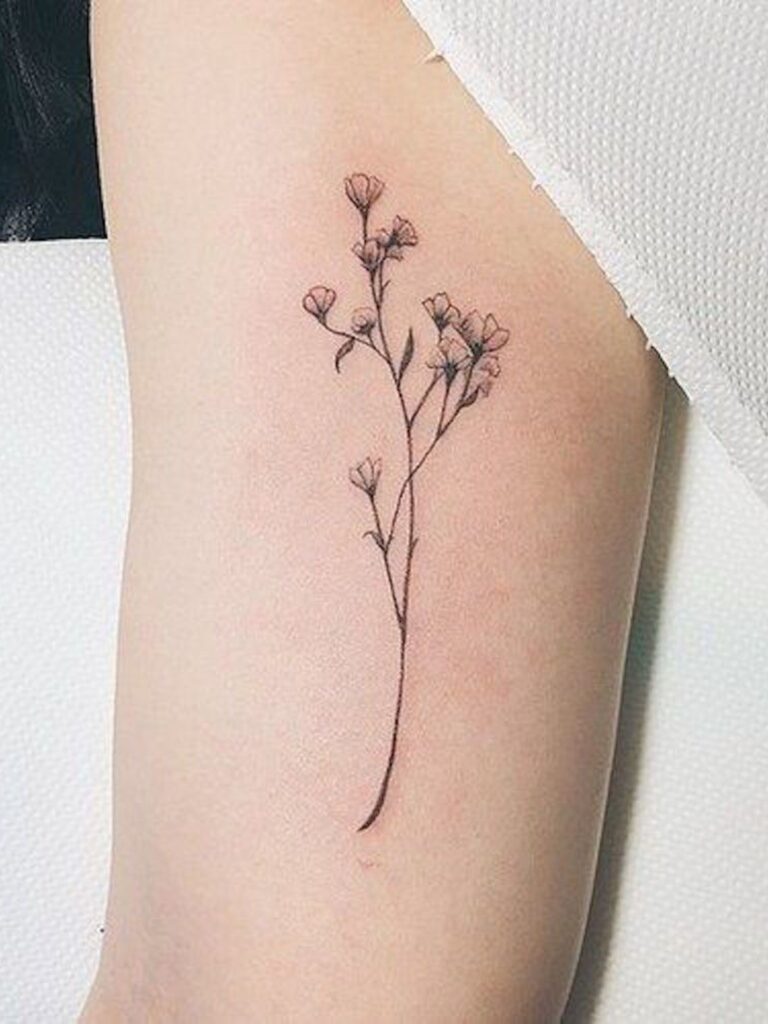 Larkspur Tattoos 134