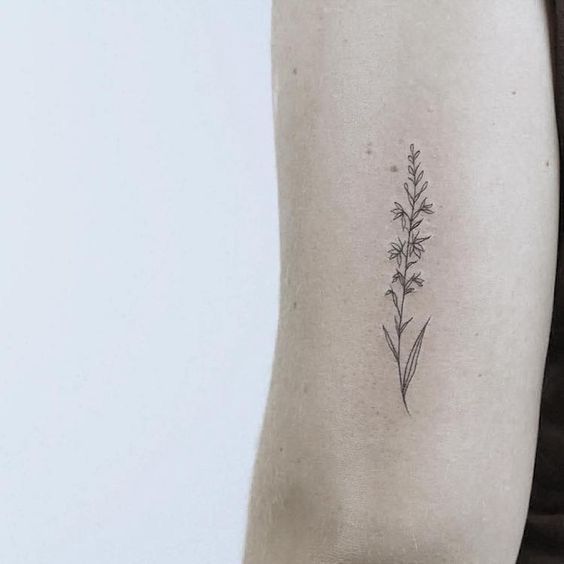 Larkspur Tattoos 28