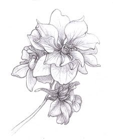 Larkspur Tattoos 39