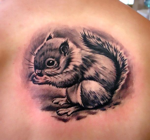 Squirrel Tattoo 11