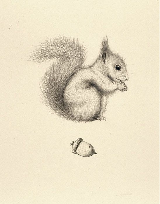 Squirrel Tattoo 118