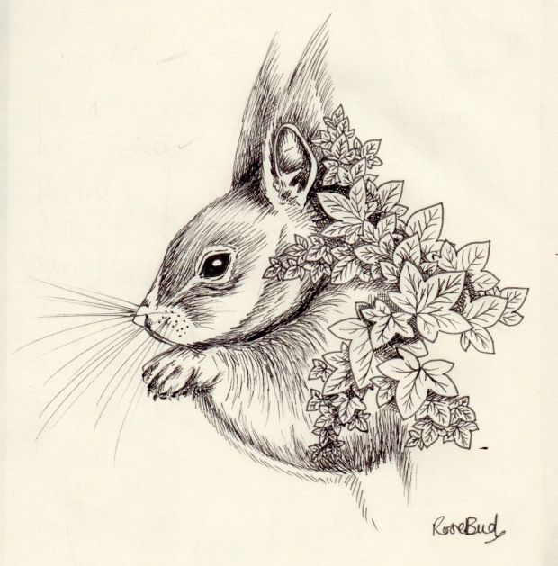 Squirrel Tattoo 125