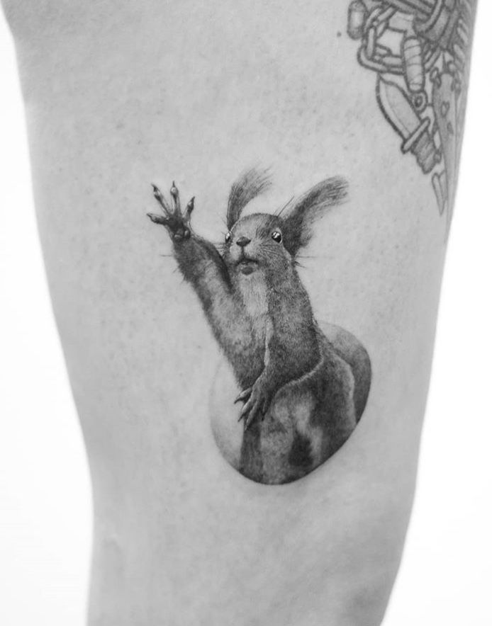 Toplist+ Cute Squirrel Tattoo Designs (2023) 1028 Squirrel Tattoo 132