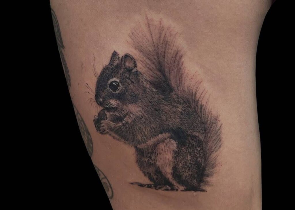 Toplist+ Cute Squirrel Tattoo Designs (2023) 1040 Squirrel Tattoo 144