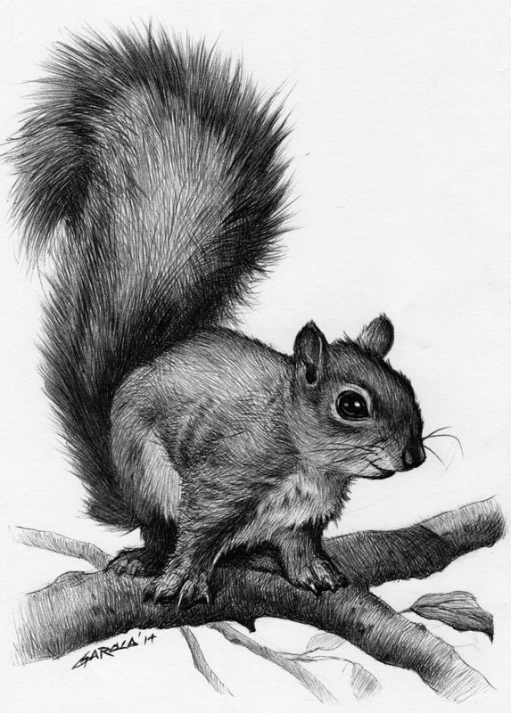 Squirrel Tattoo 149