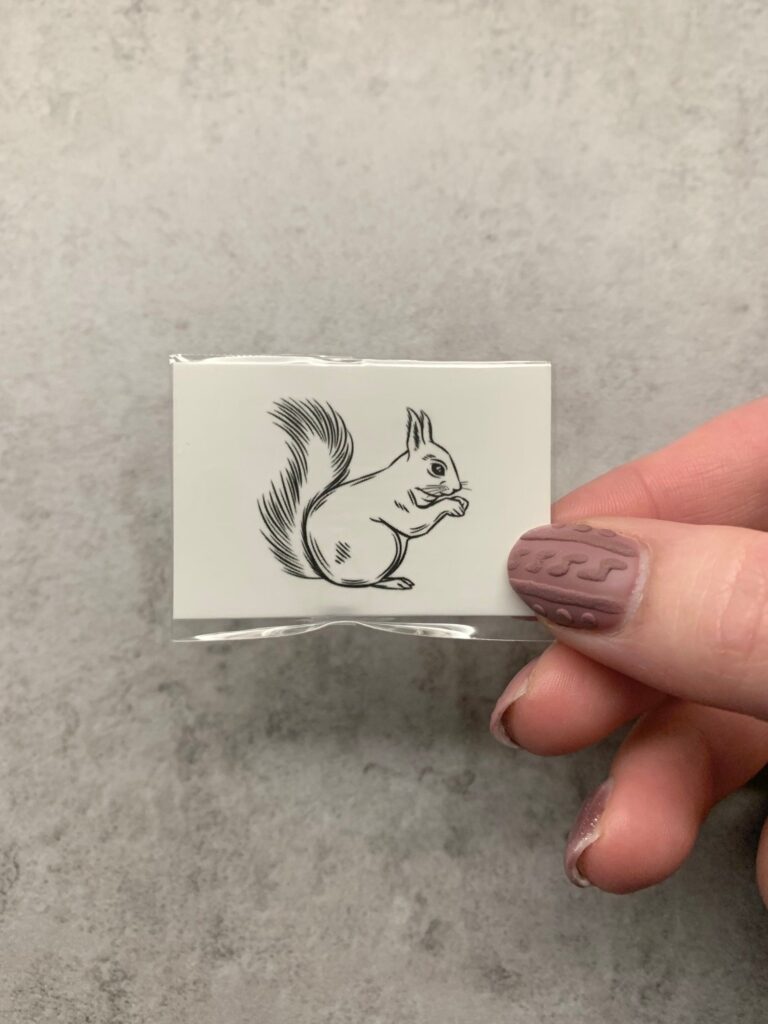 Toplist+ Cute Squirrel Tattoo Designs (2023) 1058 Squirrel Tattoo 162
