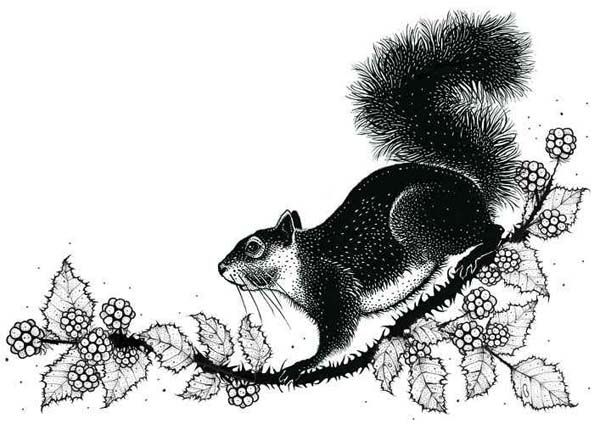 Squirrel Tattoo 207