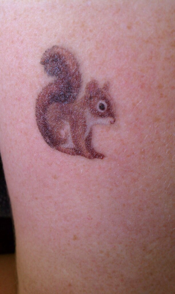 Toplist+ Cute Squirrel Tattoo Designs (2023) 920 Squirrel Tattoo 21