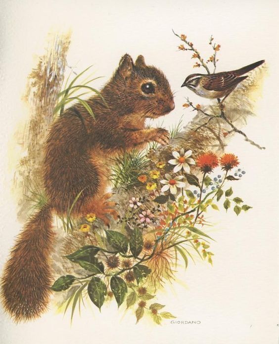 Toplist+ Cute Squirrel Tattoo Designs (2023) 895 Squirrel Tattoo 6