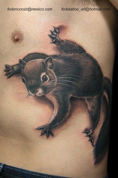 Toplist+ Cute Squirrel Tattoo Designs (2023) 969 Squirrel Tattoo 72
