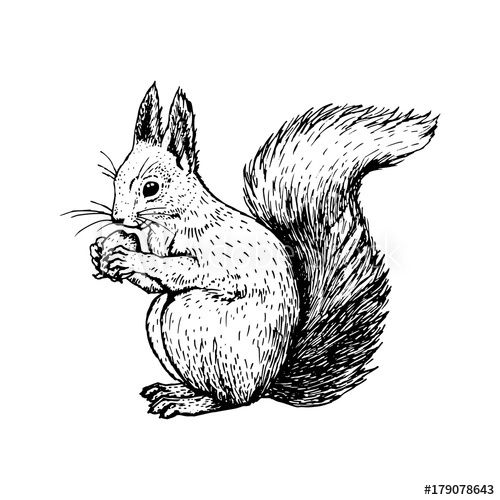 Squirrel Tattoo 99