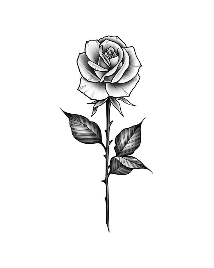 Toplist+ Pretty Black and Grey Tattoo Designs (2023) 997 Black And Grey Tattoo 35