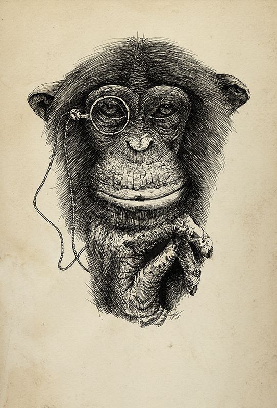 Monkey Tattoo 77