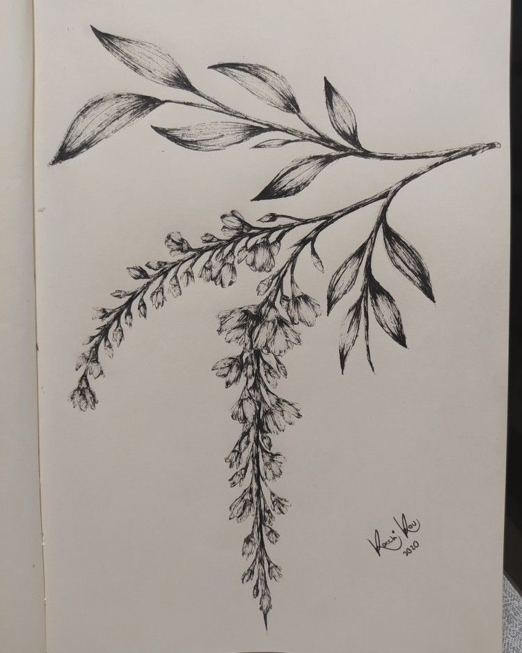 Wisteria Tattoos 102