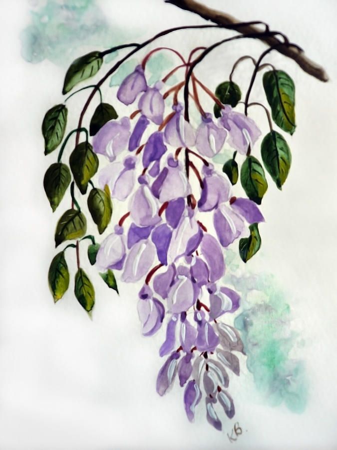 Wisteria Tattoos 105